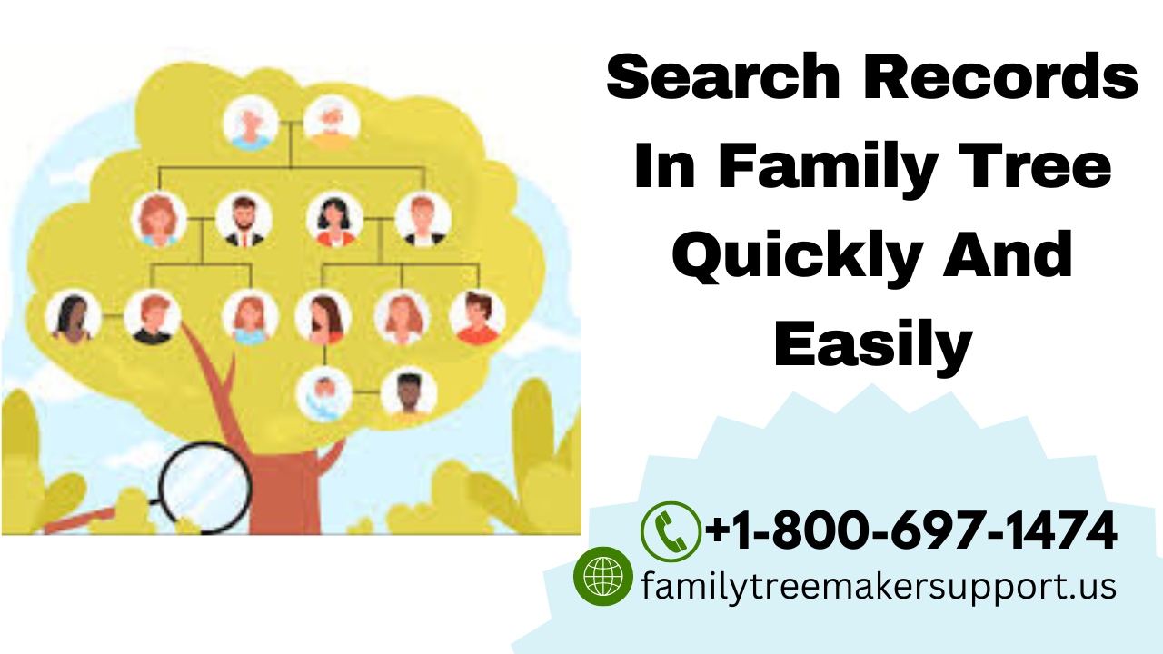 How To Search Records In Family Tree Quickly And Easily?